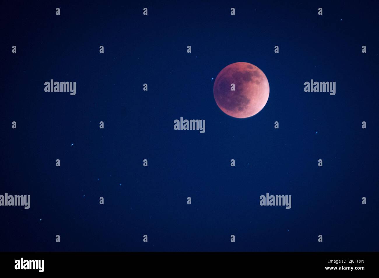 Austin, Texas, USA. 15 May, 2022. The Super Flower Blood Moon eclipse