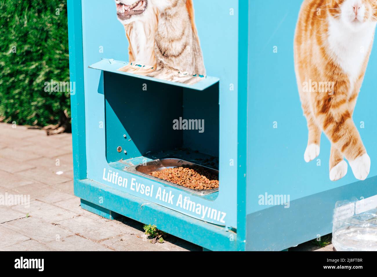 Outdoor cat hotsell food dispenser