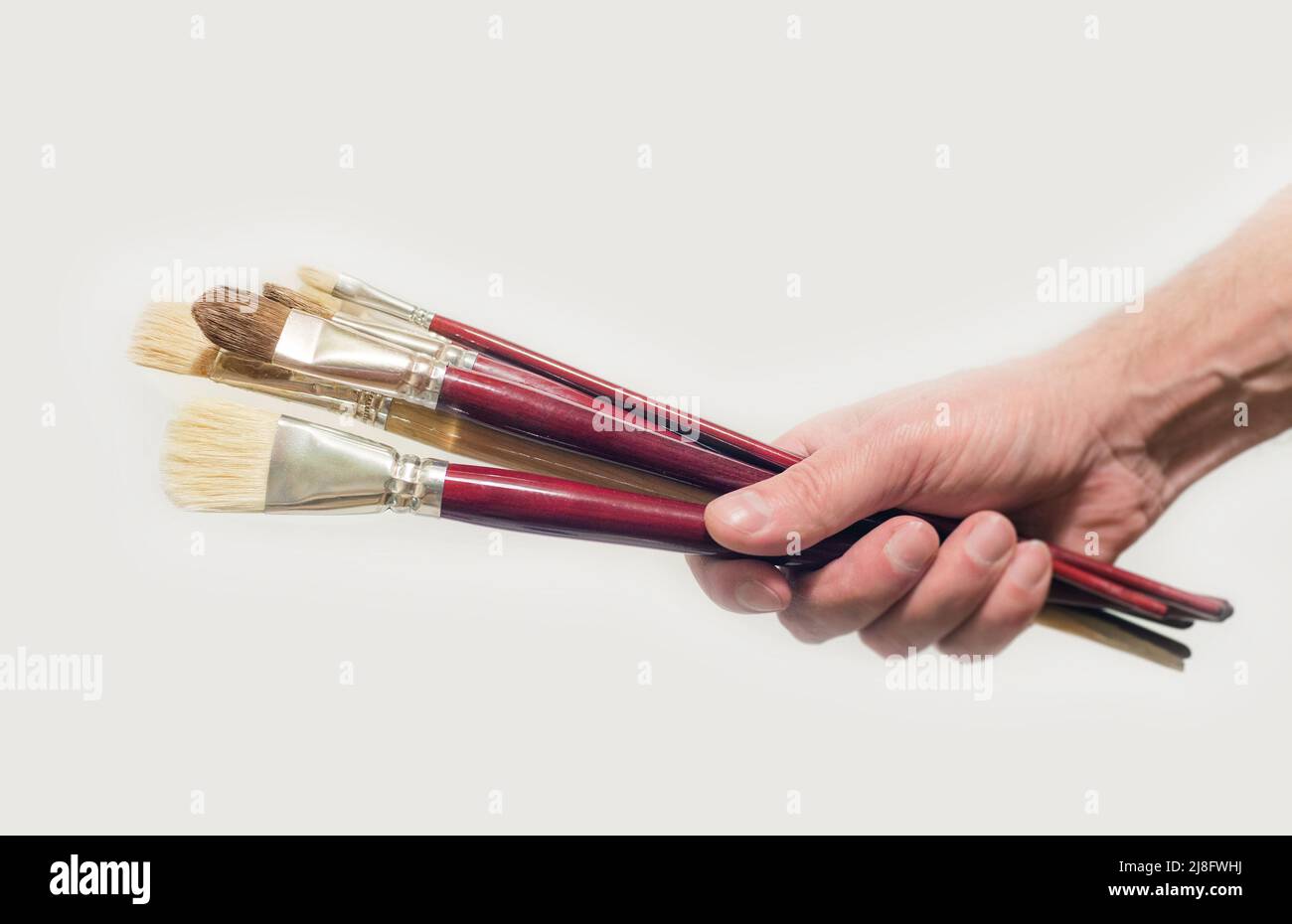 hand holds fresh synthetic brushes on white Stock Photo