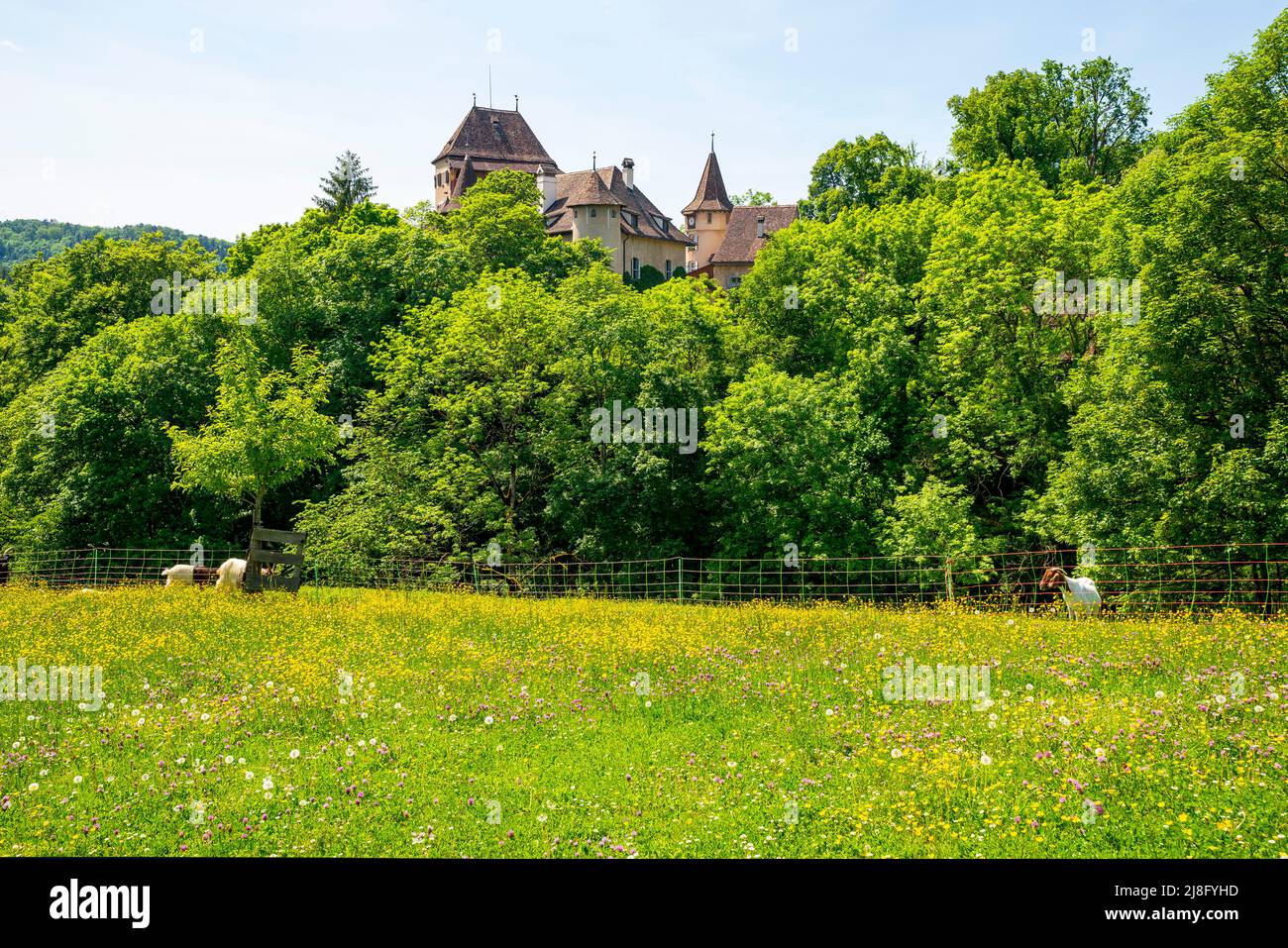 Wildenstein Castle is a castle in the municipality of Bubendorf in the canton of Basel-Land in Switzerland. It is a Swiss heritage site of national si Stock Photo