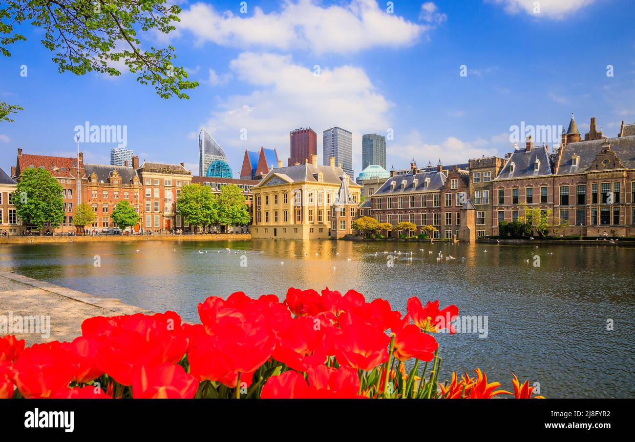 The Hague, Netherlands.  Downtown Skyline, Parliament Buildings and The Hofvijver lake. Stock Photo