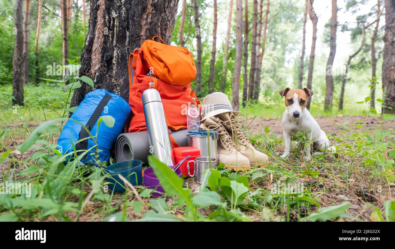 Hiking thermos for hot tea or coffee is on stone overlooking taiga river in  forest. Stock Photo by ©Tagwaran 287499666