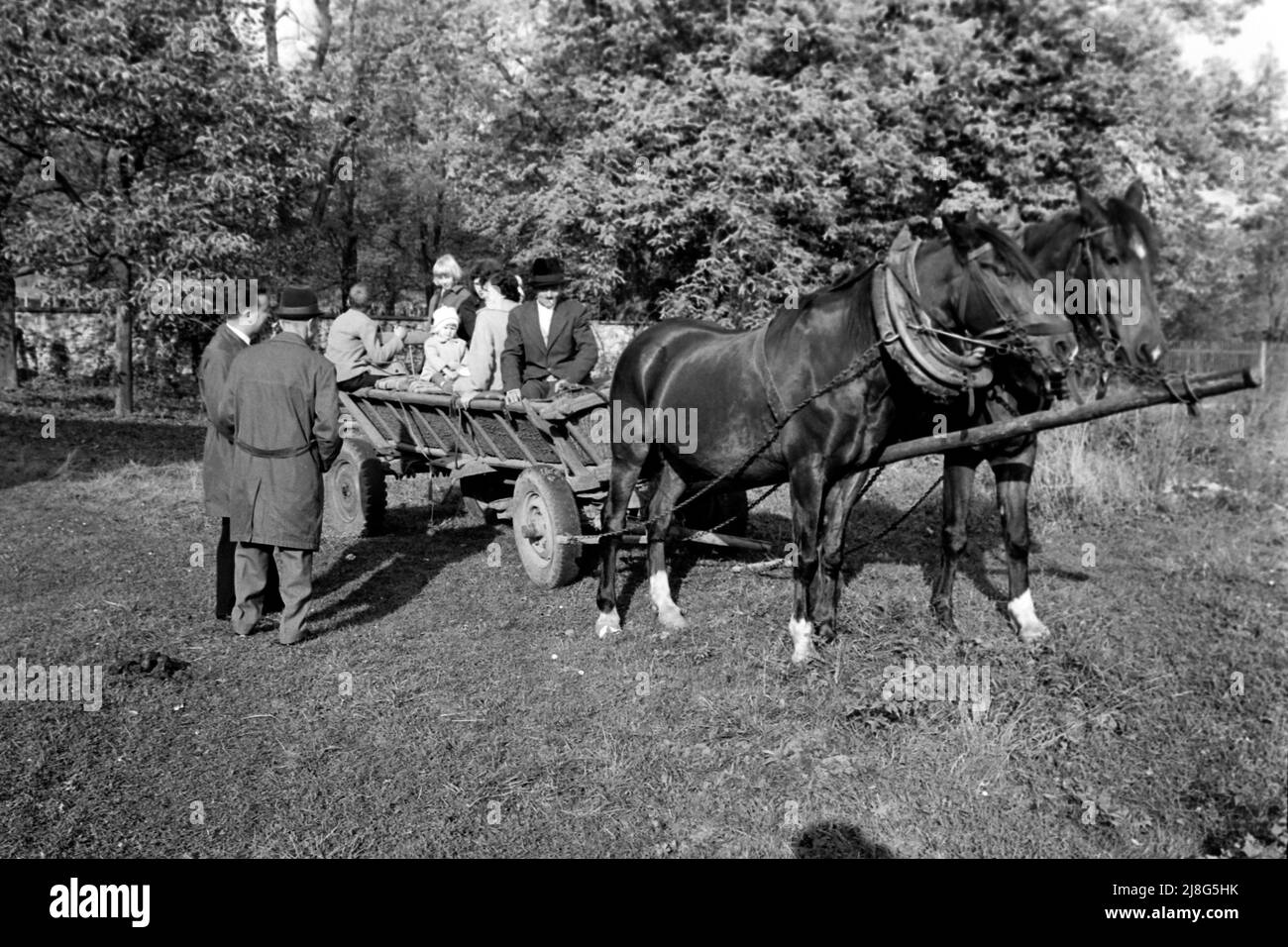 Pferdekarren bei Krakau, Woiwodschaft Kleinpolen, 1967. Horse drawn cart near Kraków, Lesser Polonia Vovoideship, 1967. Stock Photo