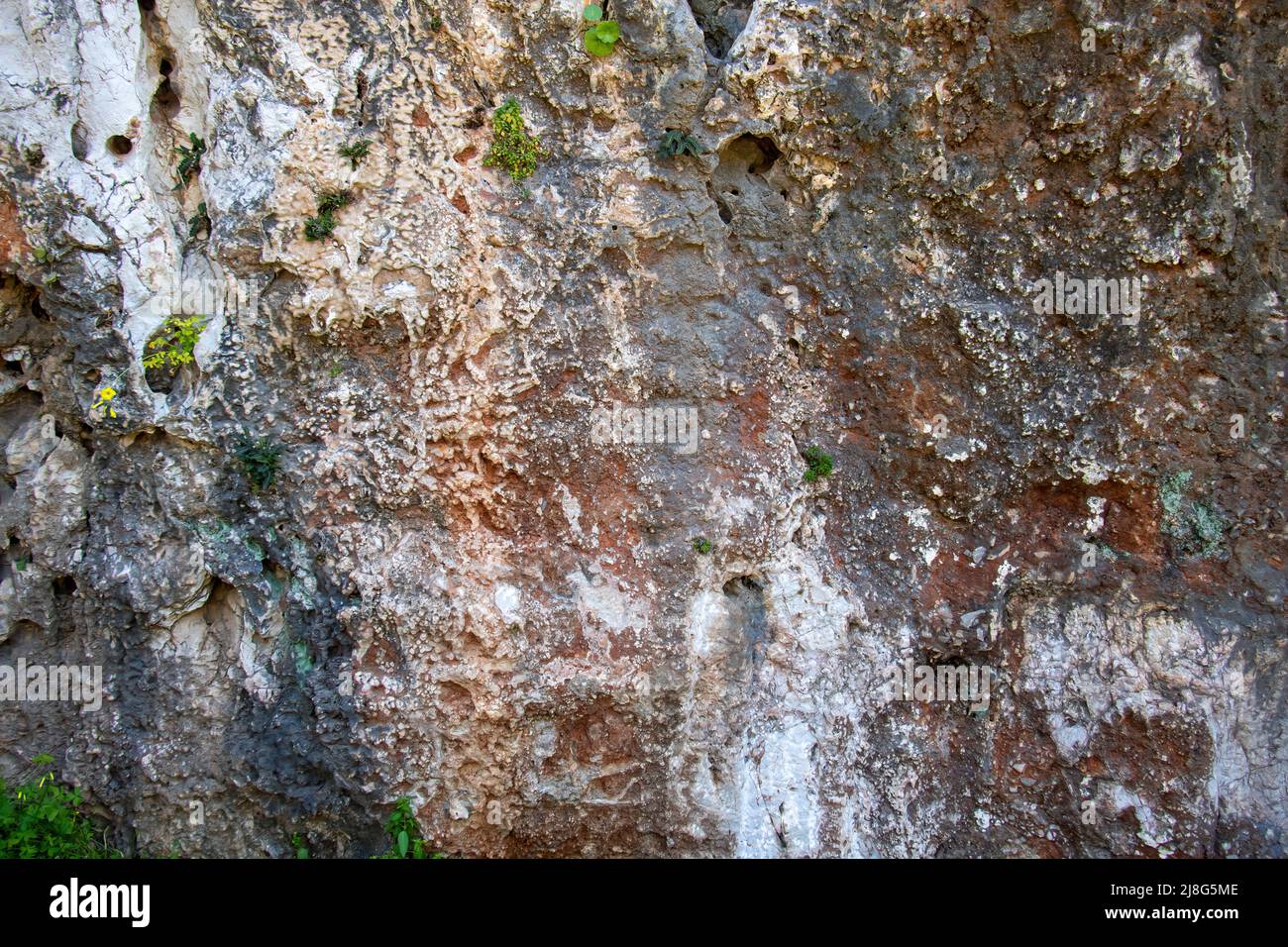 A grey stone of concrete, texture background Stock Photo