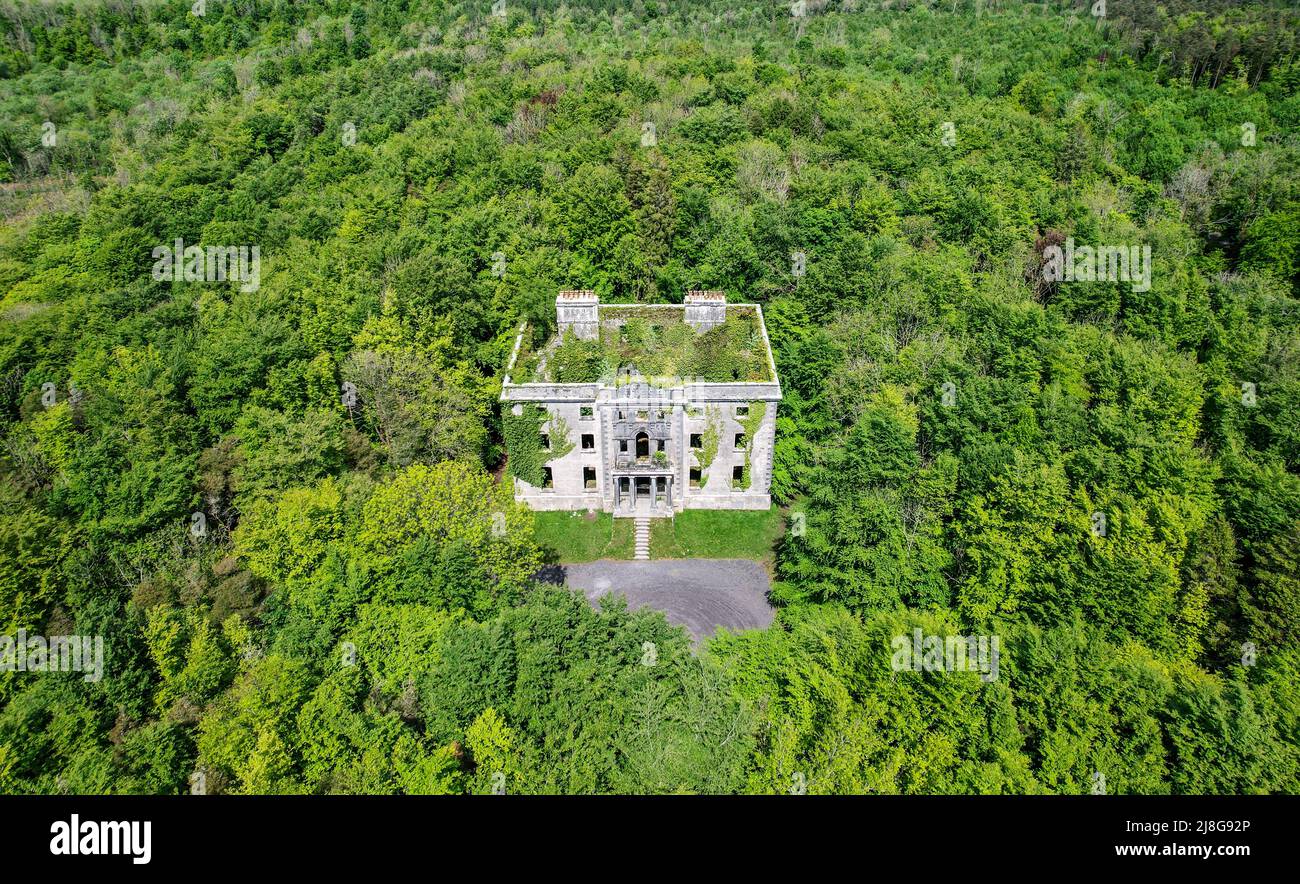 A big ruin house covered ivy and surrounded by a forest , Moore Hall is located in county Mayo Ireland and is now a public area Stock Photo