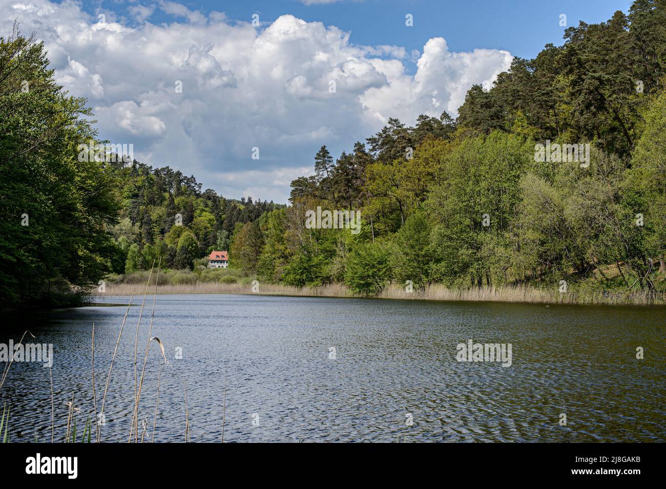 The pond of Wineckerthal and the forest house. The small pond of the Wineckerthal is surrounded by hills whose trees are reflected in the calm water. Stock Photo