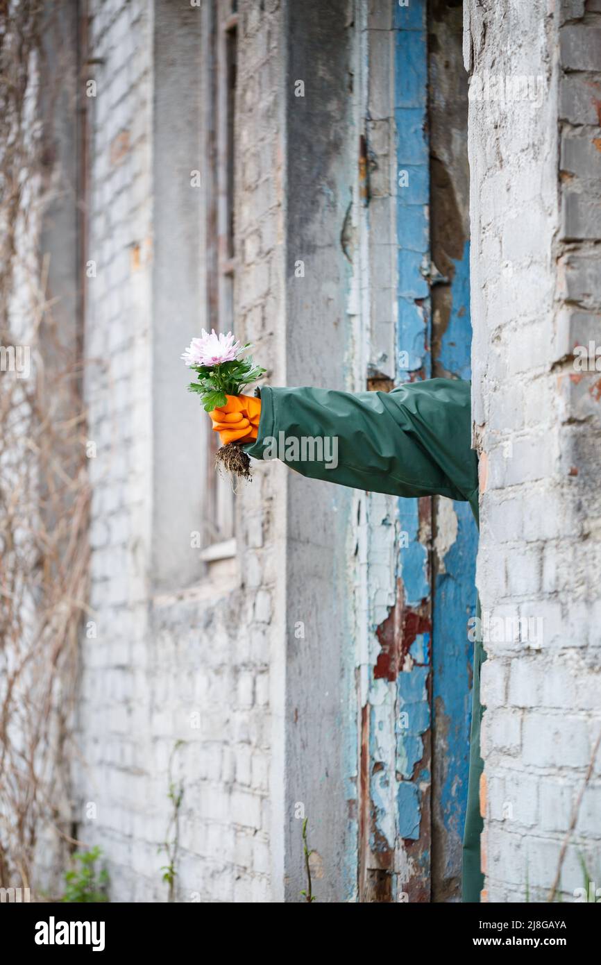 A man in a raincoat and gas mask collects a flower from a scorched, poisonous earth. Air pollution concept. Ecological catastrophy. Stock Photo