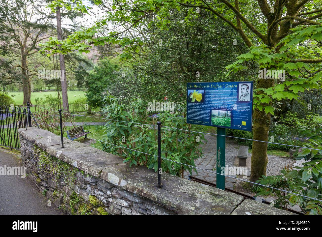 Scenic view in the Wordsworth Daffodil Garden in Grasmere in the Lake