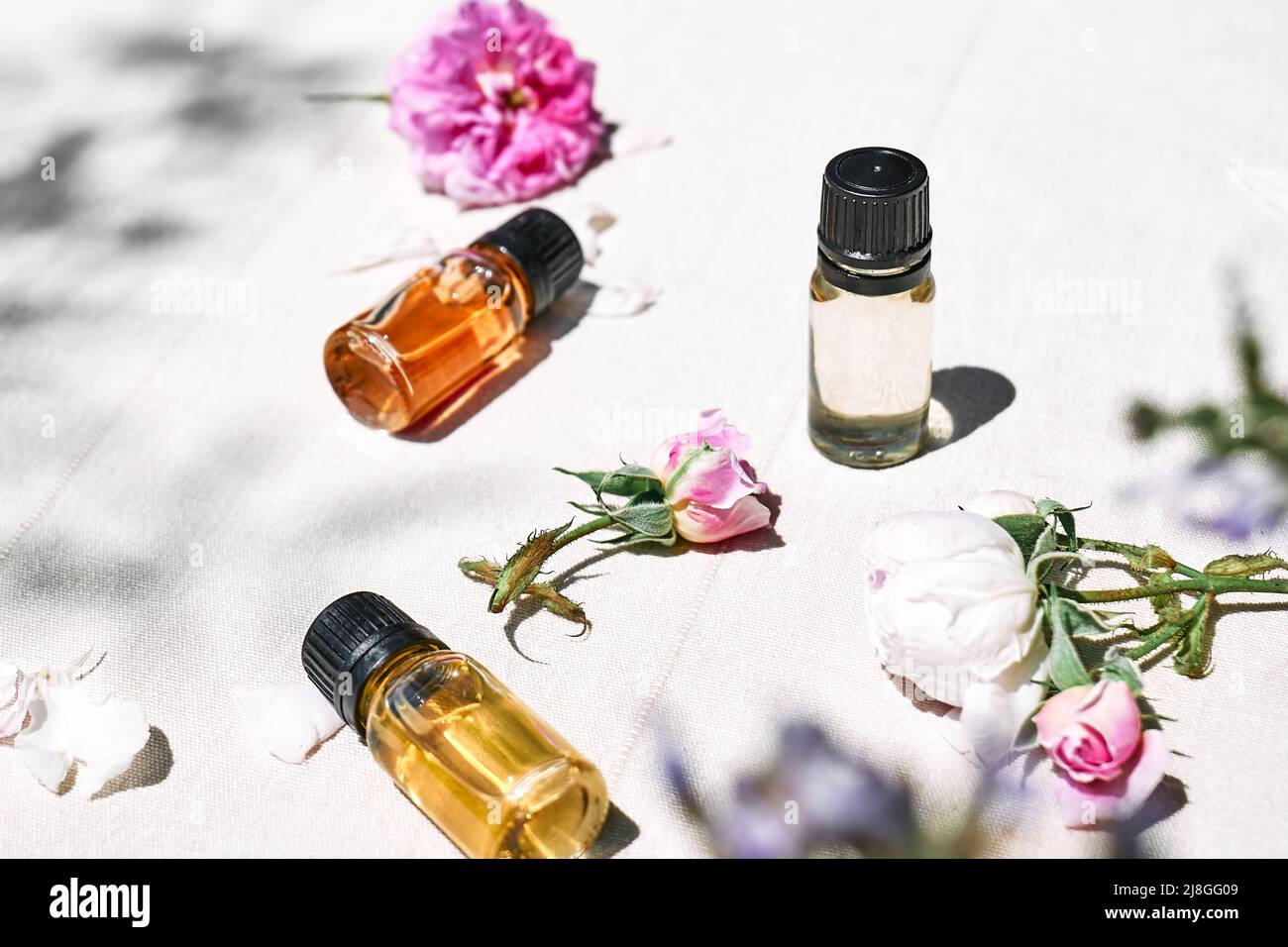 Bottles with essential oils with rose and pink petals on linen cloth. Skincare and spa, natural beauty treatment, homemade cosmetics. Selective focus. Stock Photo