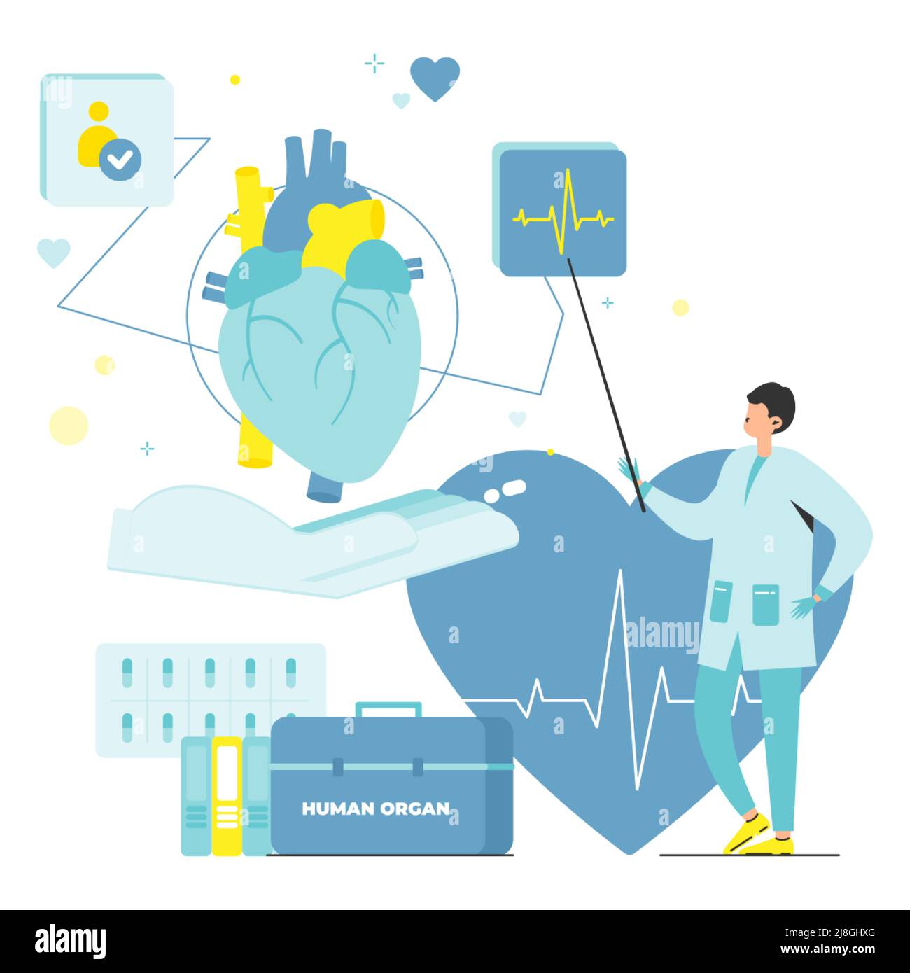 Human Organ For Transplant Check Vector Poster Stock Vector Image And Art Alamy