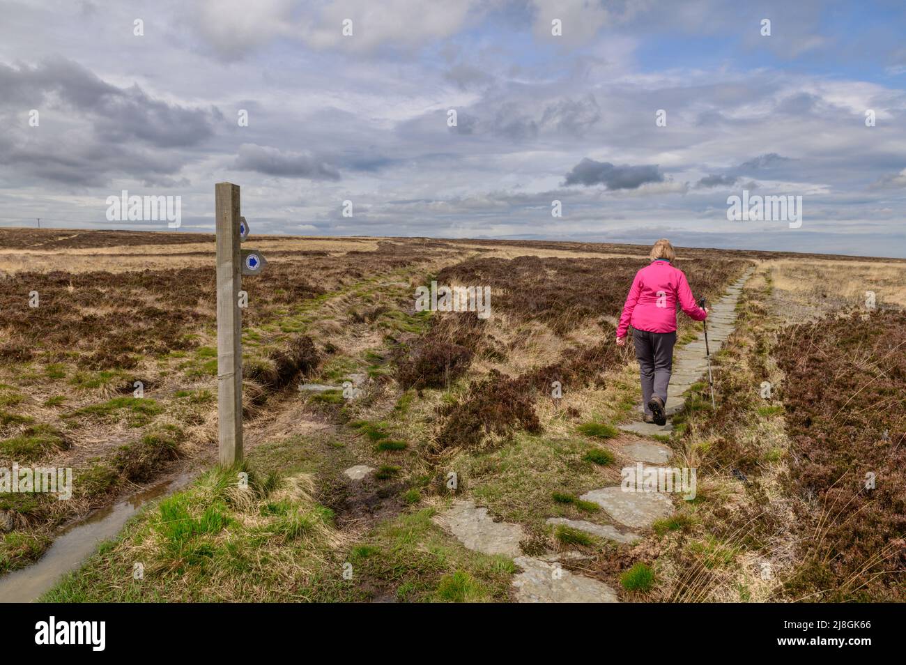 The Quakers Causeway a footpath across Stanghow Moor near Guisborough in North Yorkshire Stock Photo