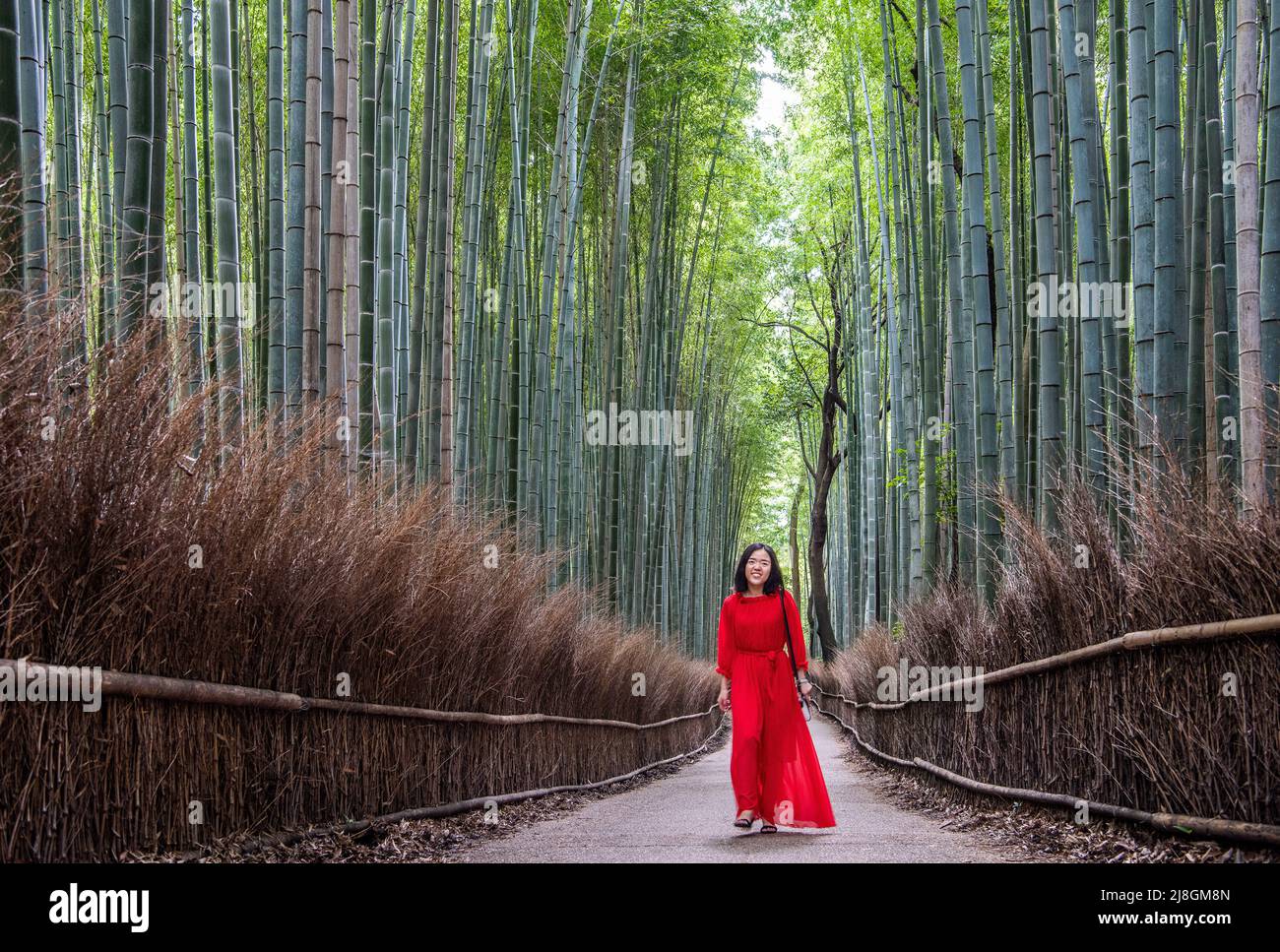Woman in Red. Stock Photo