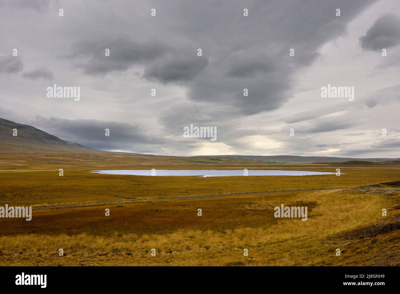 Pond, Iceland. Stock Photo