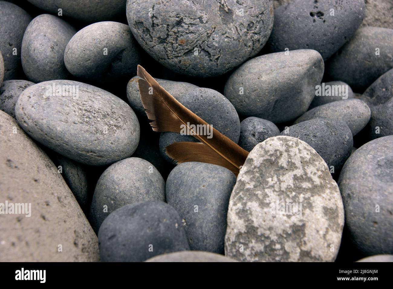 Stones, Iceland B. Stock Photo