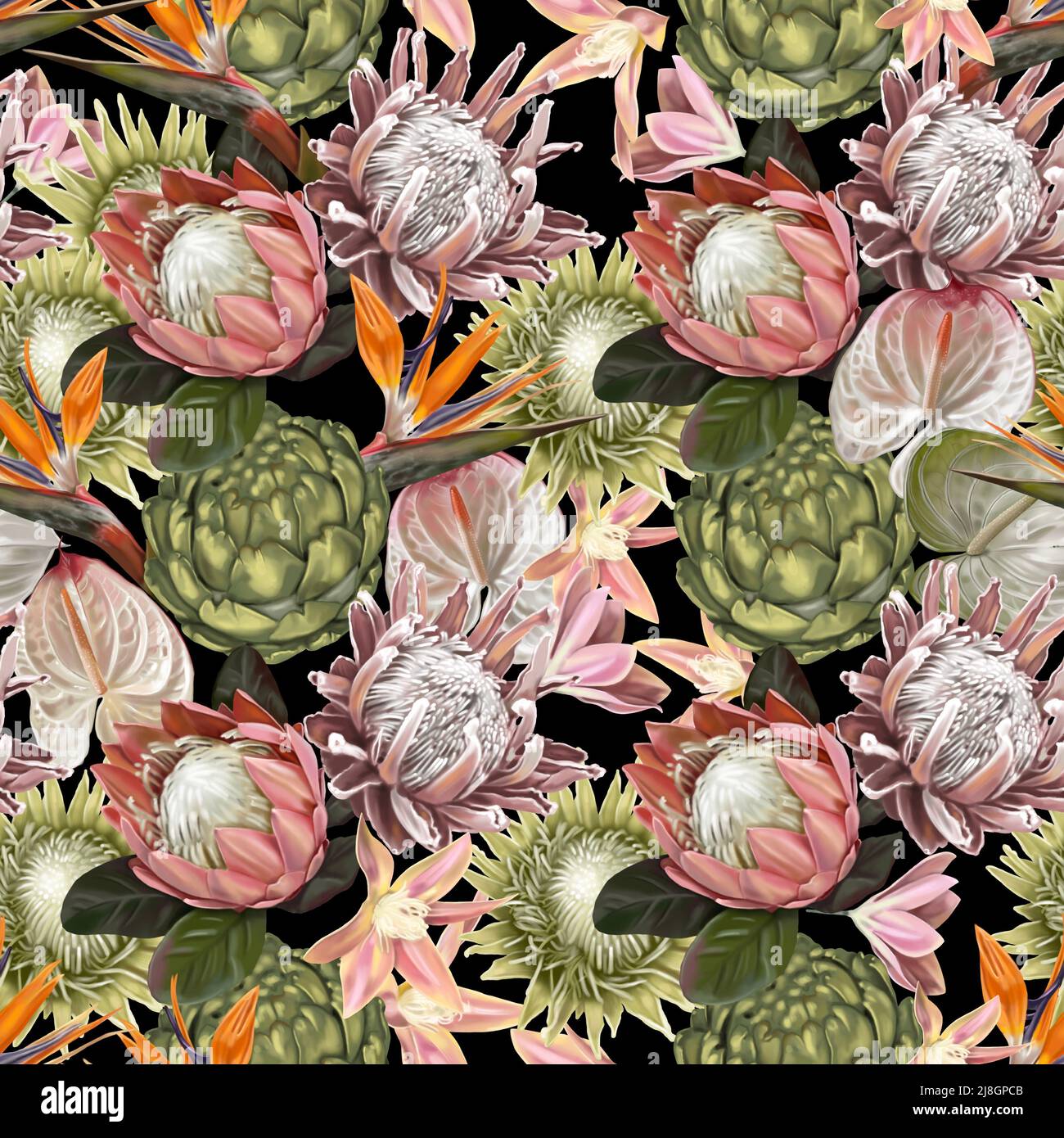 Protea seamless pattern. watercolor realist flowers of protea and anthurium. Illustration wallpaper. fabric print Stock Photo