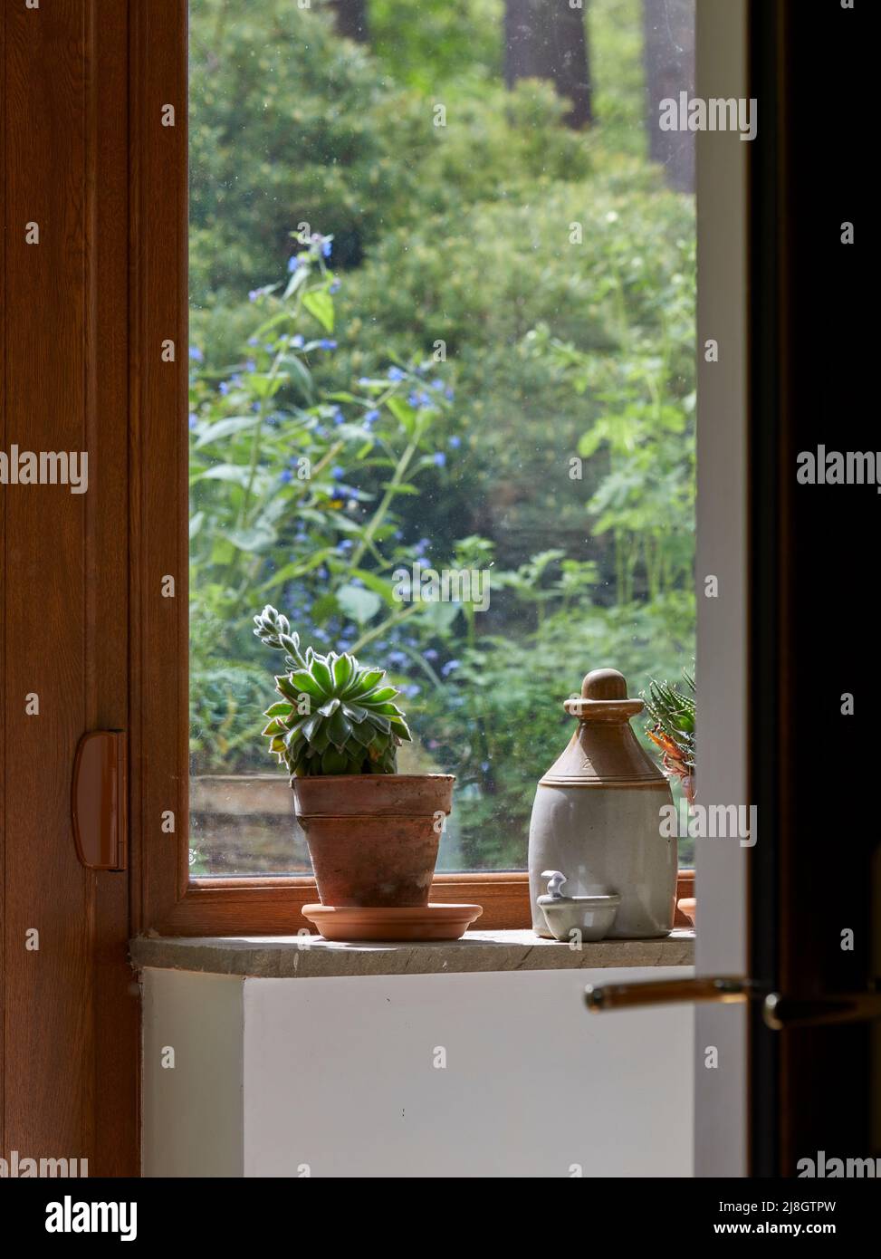 House plant and jar on porch windowsill Stock Photo