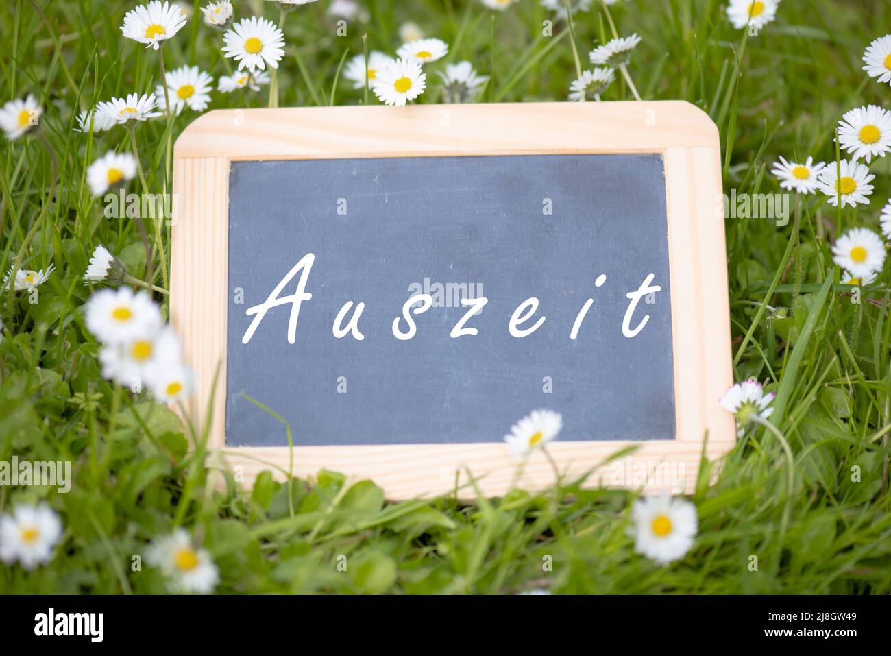 Chalkboard with the word time out, german language stands in the meadow with daisy flowers, taking a vacation, spring and summer season Stock Photo