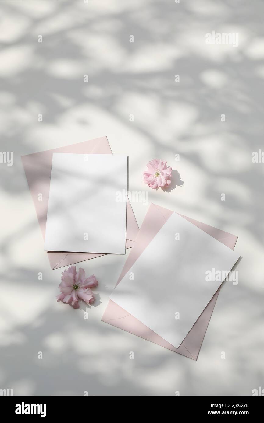 Wedding still life. Feminine spring breakfast scene. Pink Japanese cherry tree, sakura blossoms in sunlight. Blank greeting card, invitation. Blush Stock Photo