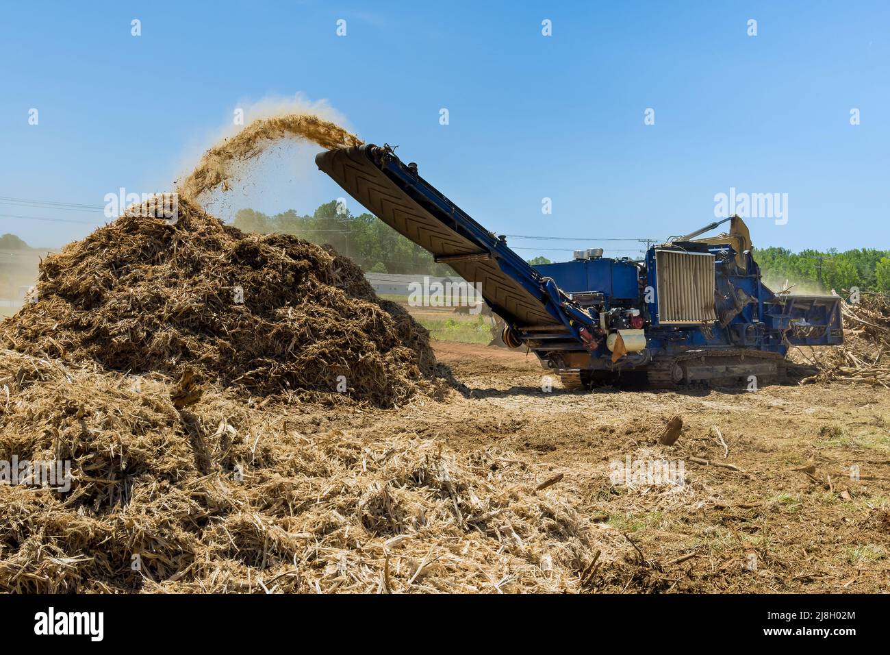 Roots crush branches with a chipper shredder or wood chipper machine Stock Photo
