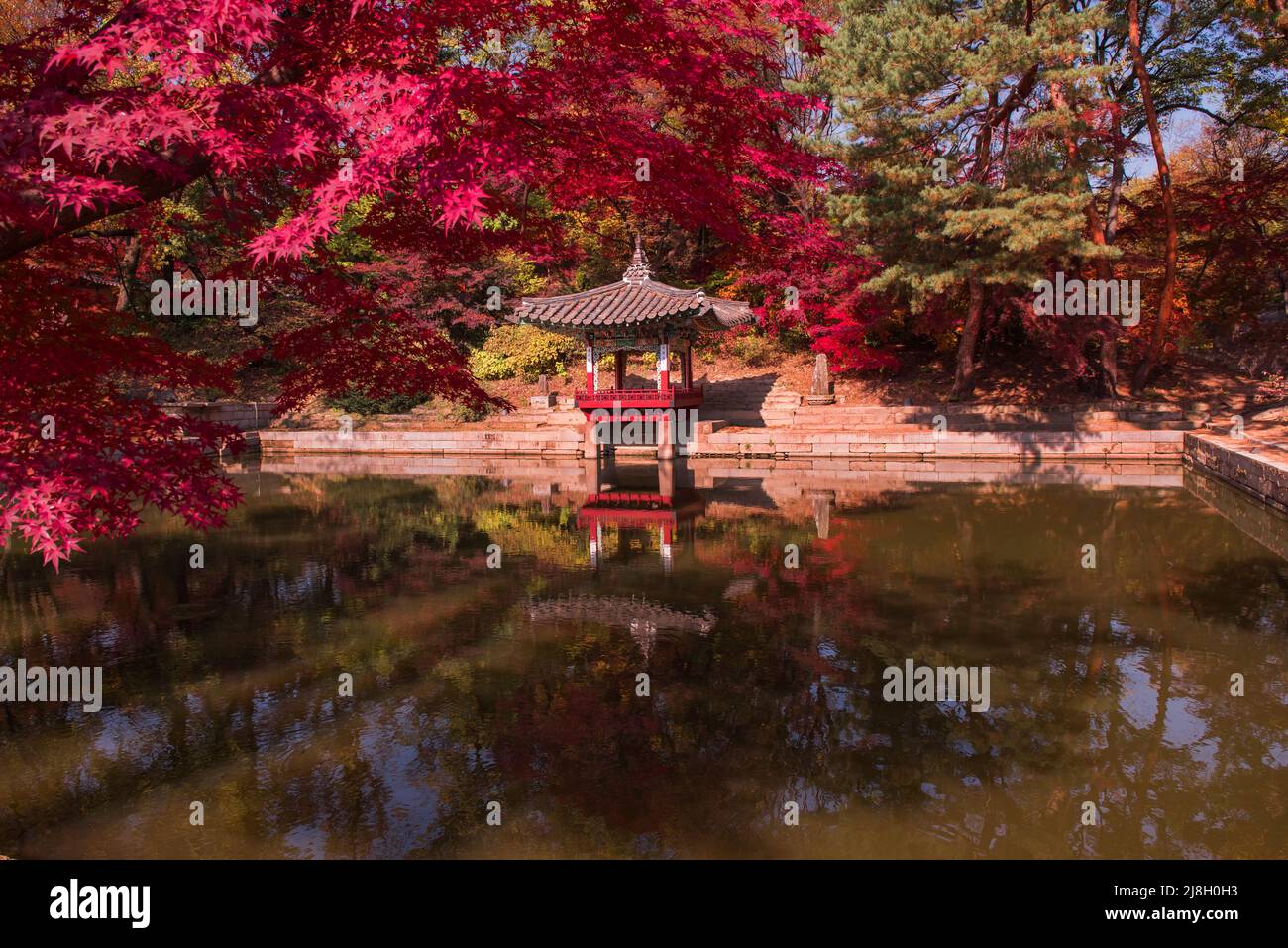 The scenery of Autumn, Huwon,Secert garden,Changdeokgung palace,Unesco World heritage. Stock Photo