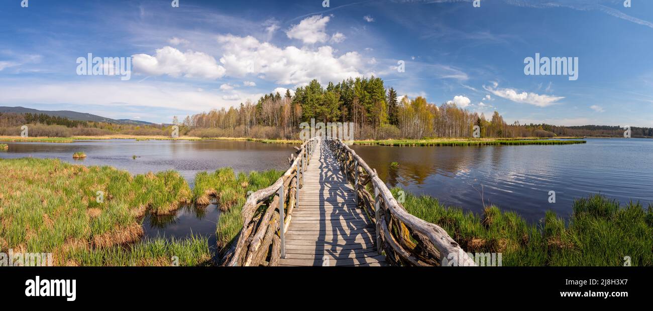Landscape with a wooden bridge over water - footbridge over the Olsina pond, Czech Republic Stock Photo