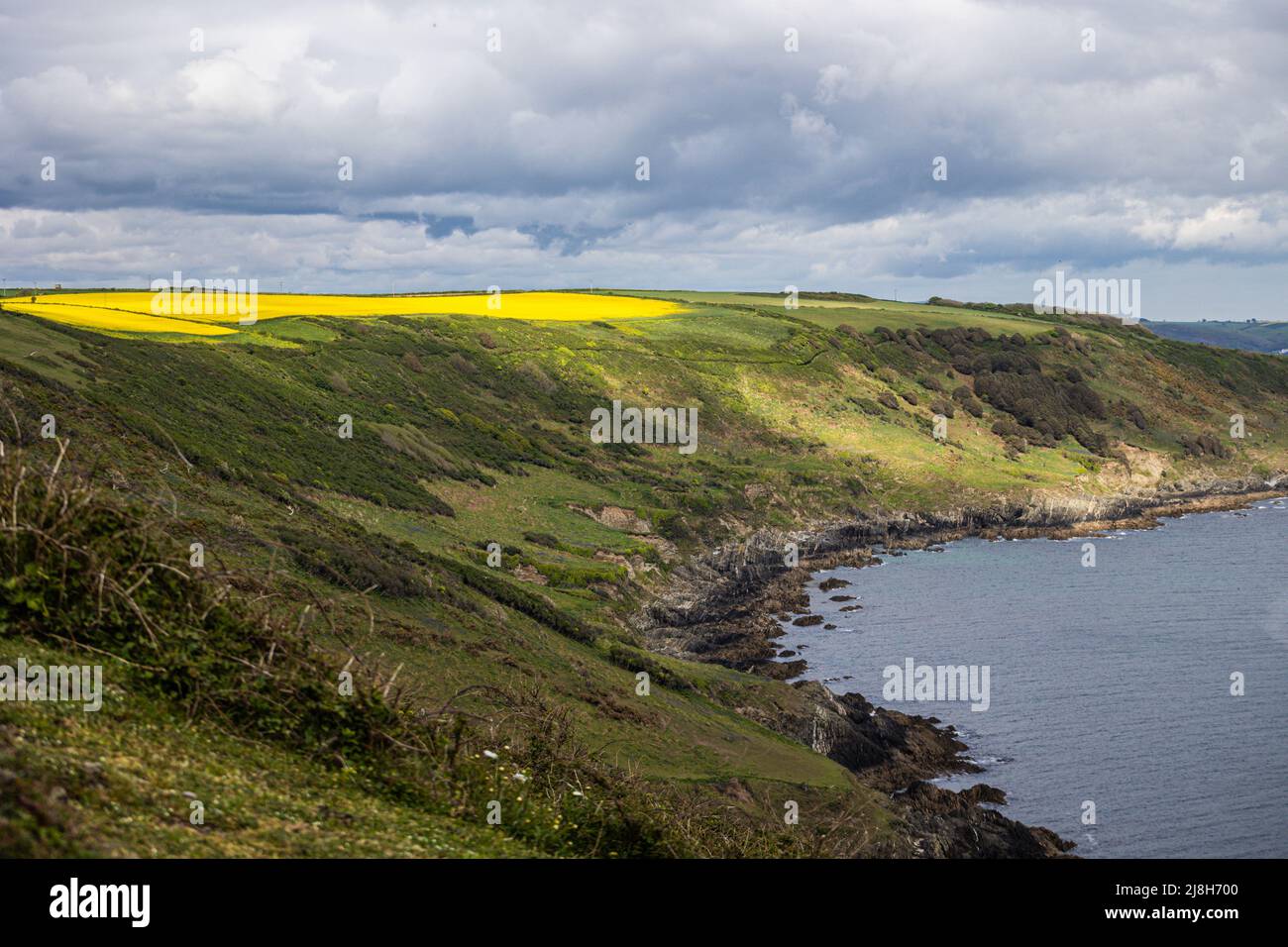 view of the landscape from Rame Head Peninsula, Cornwall, United