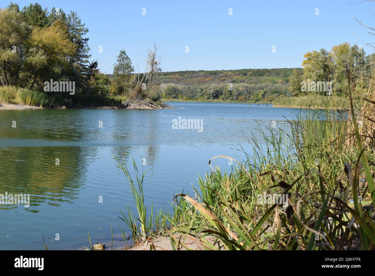 Small lake in the forest during summer day, Lake surrounded by green forest trees. Stock Photo