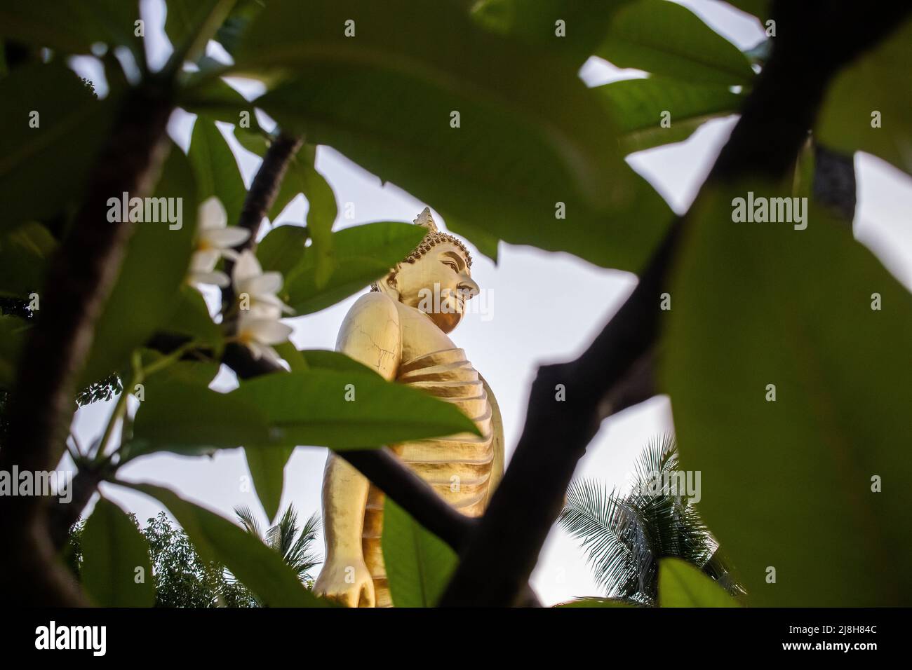 Buddha Purnima, the biggest religious festival of the Buddhist community after two years of Covid-induced restrictions. Buddha followers are celebrati Stock Photo