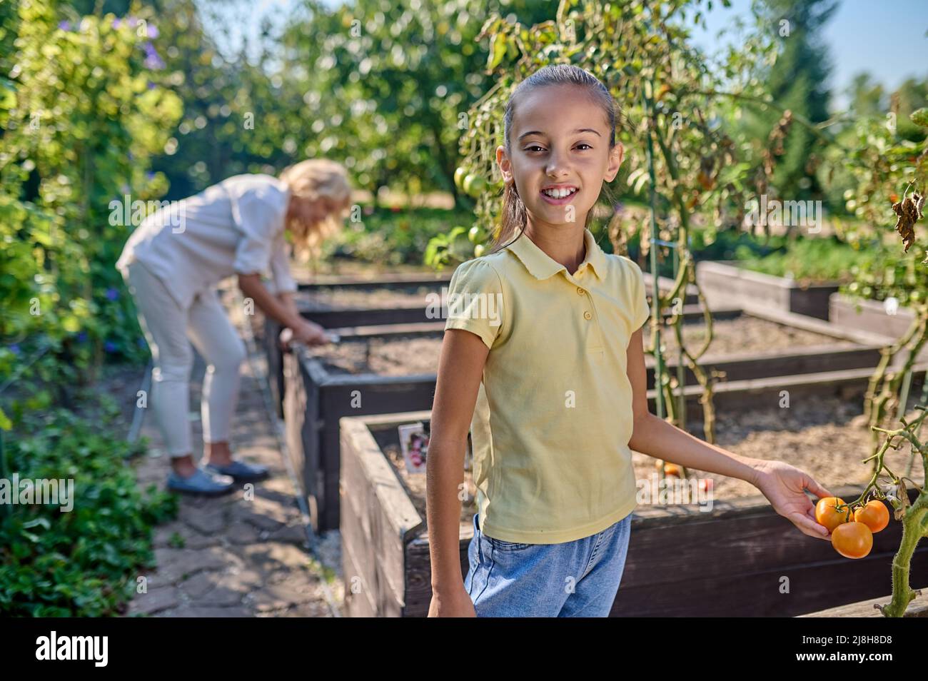 Girl looking at camera touching tomato in garden Stock Photo - Alamy