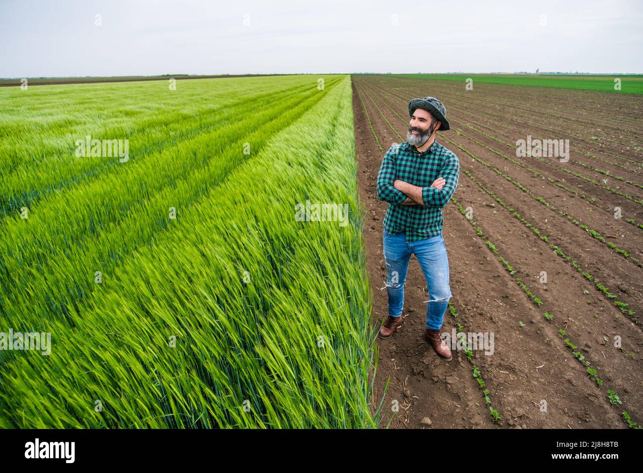 Happy farmer is standing beside his growing wheat field Stock Photo - Alamy