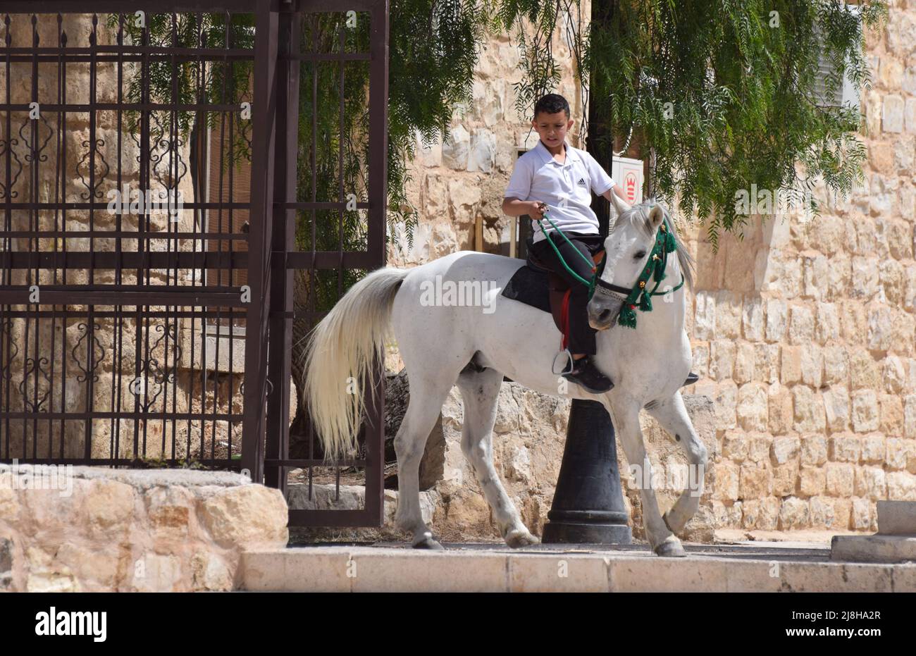 A young boy riding a white horse down some steps in the streets of Mukawir in Jordan Stock Photo