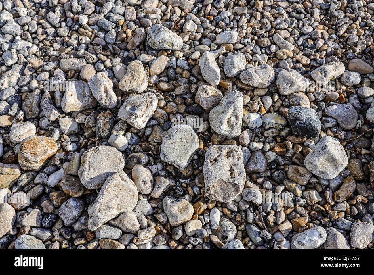 Pebbles on seashore Stock Photo