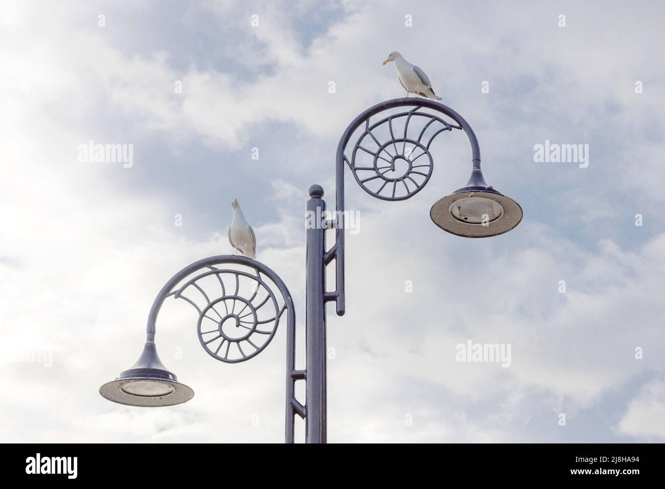 Lyme Regis Street Lamps Stock Photo