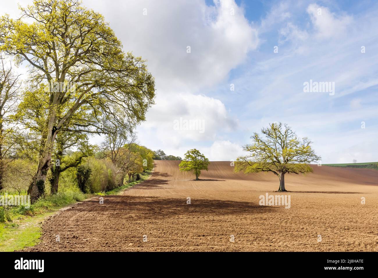 Plowed field in early spring Stock Photo