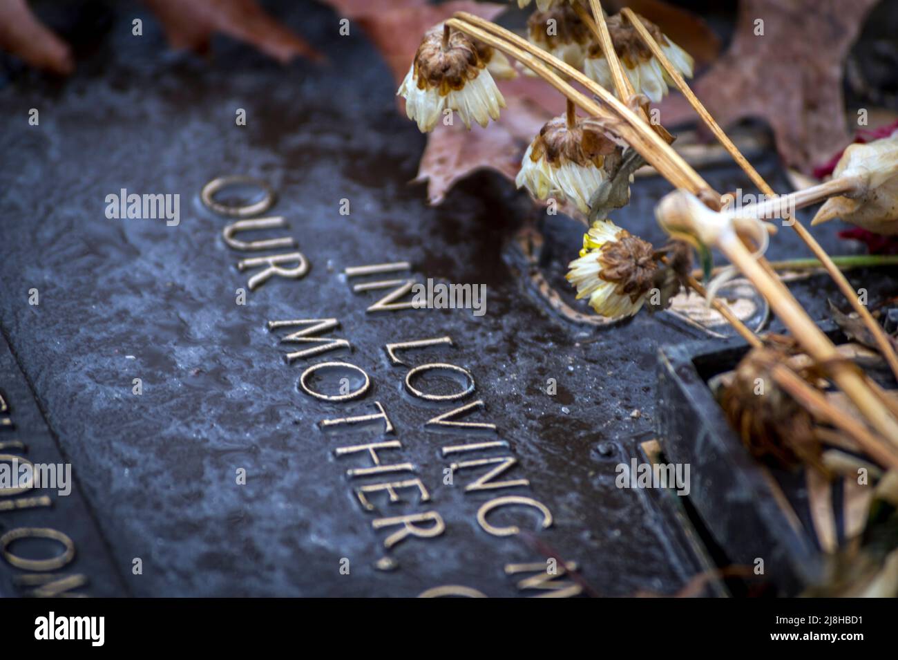 Gravestone at Prospect Cemetery in Toronto Stock Photo Alamy