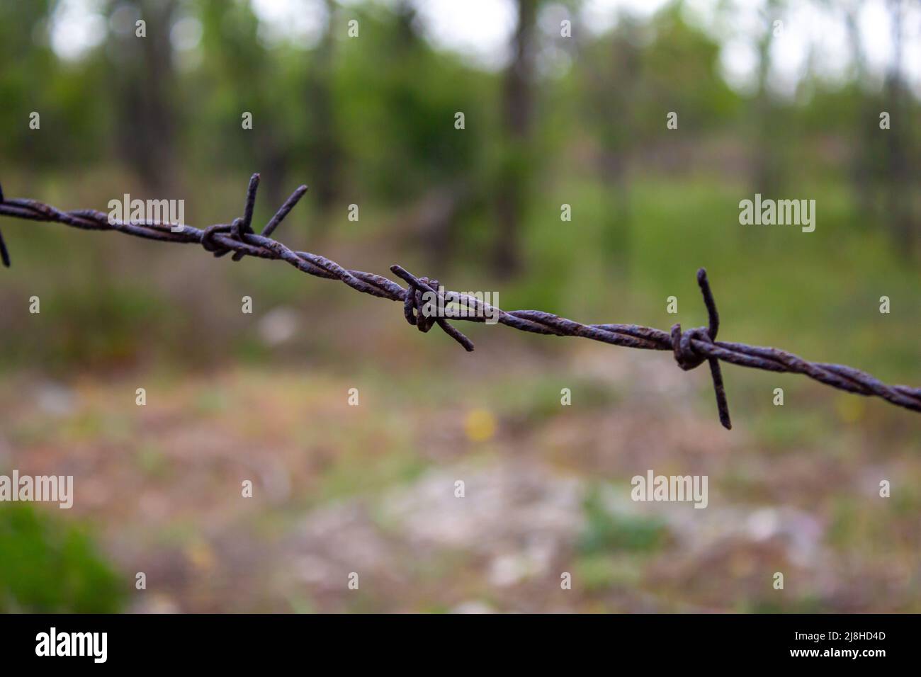Wire mesh in the orchard. Rusty wire mesh, closeup Stock Photo - Alamy