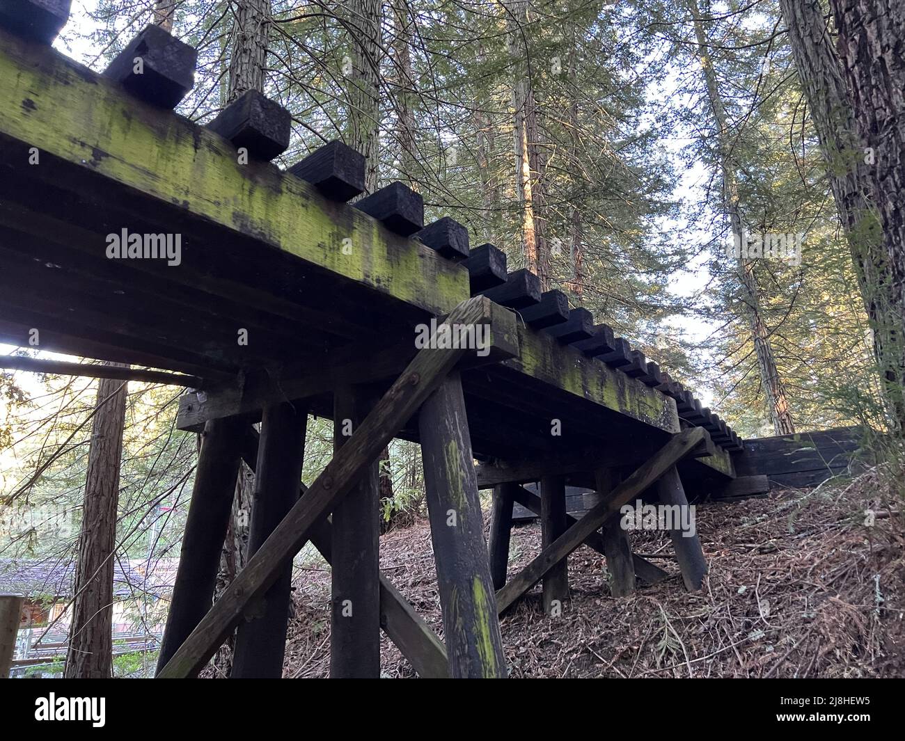 Working small gauge railroad trestle above a pathway at Redwood Valley Railroad in Berkeley, California, February 27, 2022. Photo courtesy Sftm. Stock Photo
