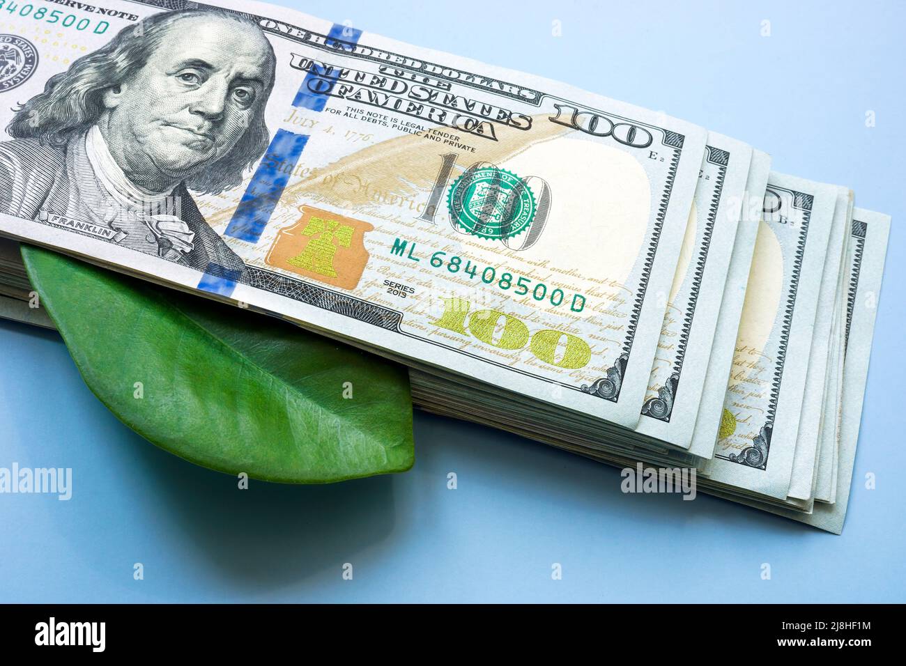 Corporate Social Responsibility concept. A bundle of money and a green leaf. Stock Photo