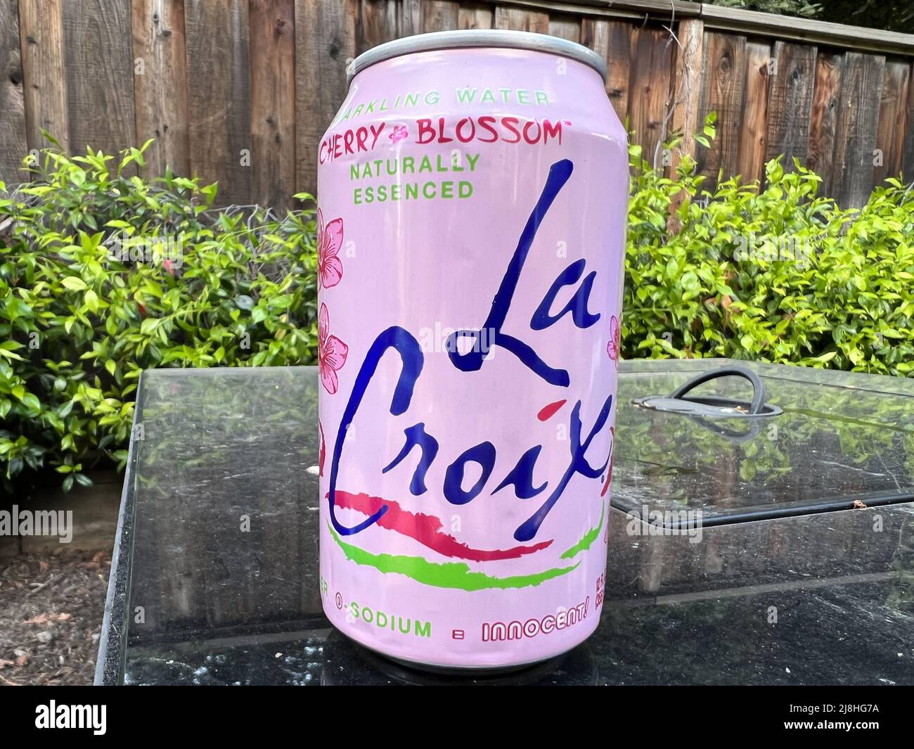 Close-up of can of LaCroix Cherry Blossom flavored sparkling water, Lafayette, California, April 19, 2022. Photo courtesy Sftm. Stock Photo