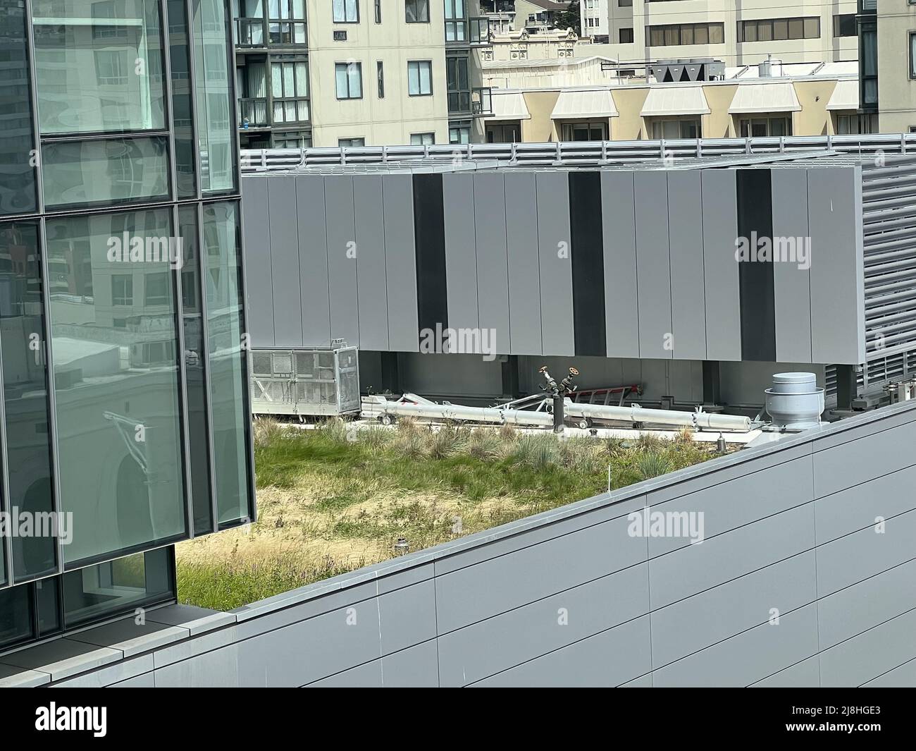 Green roof or living roof at the Elizabeth C Peters Garden at CPMC medical center in San Francisco, California, May 5, 2022. Stock Photo
