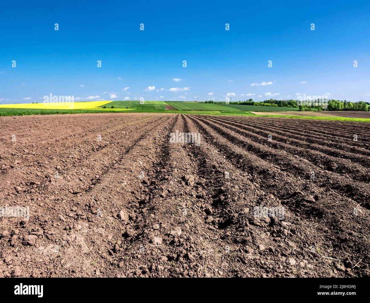 Wide angle view of ploughed field up to horizon line Stock Photo