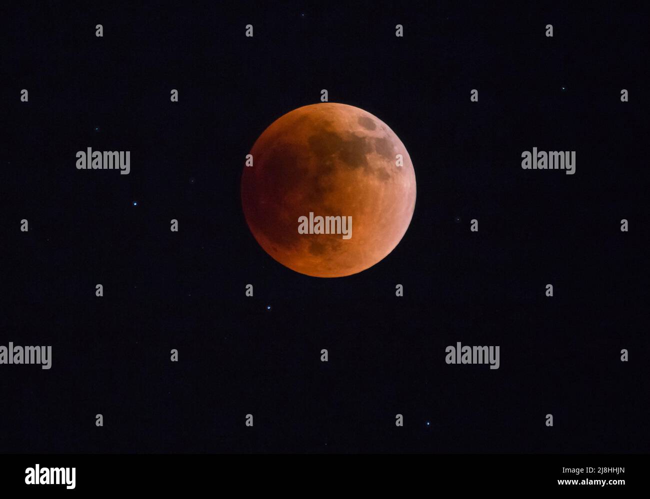 View of the Super Blood Flower Moon and surrounding stars on the evening of May 15-16, 2022. Stock Photo