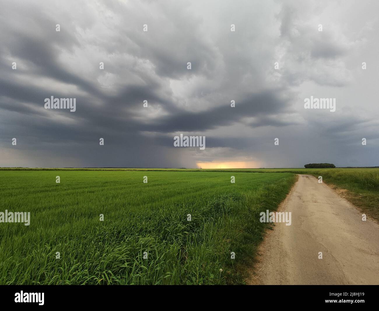 A beautiful storm cell on the horizon, with rain falling on a wheat farm during the spring. Stock Photo