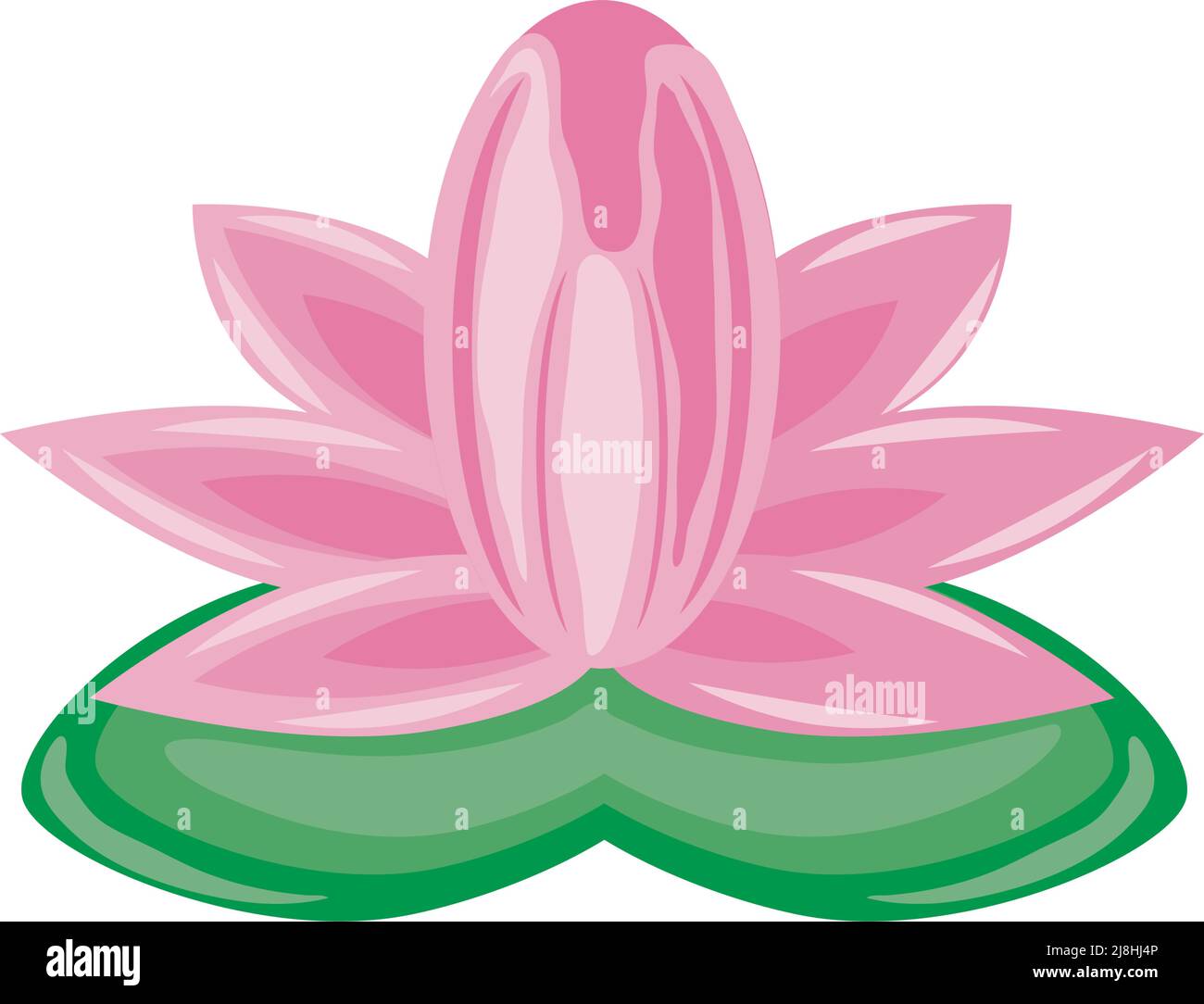lotus flower and leaf Stock Vector Image & Art - Alamy