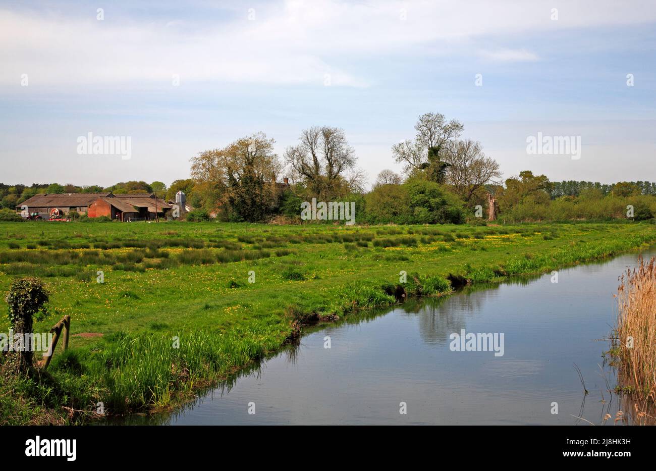 A farm and farm buildings with grazing meadows by the River Bure in spring at Horstead with Stanninghall, Norfolk, England, United Kingdom. Stock Photo