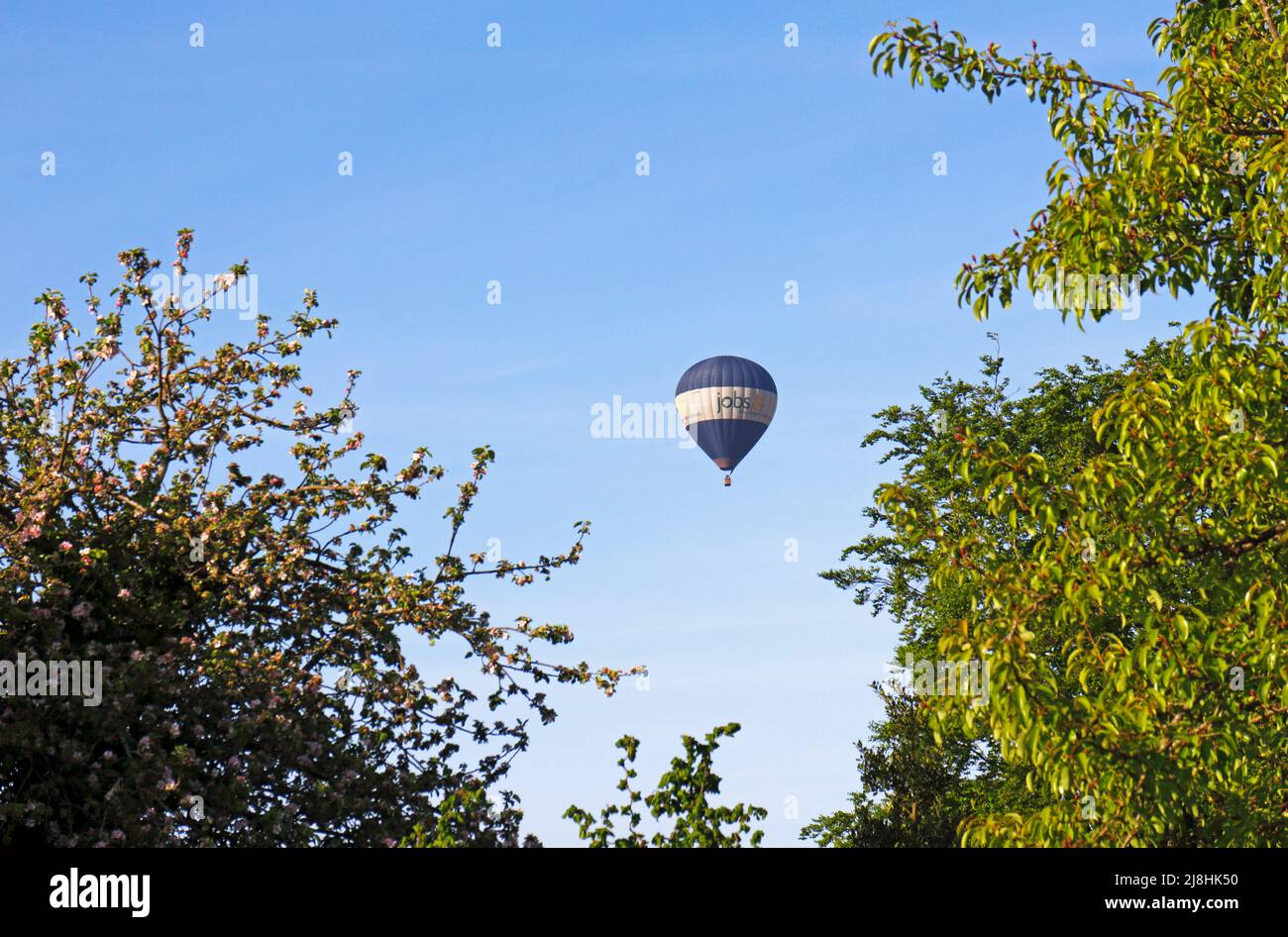 A hot air balloon with basket on an early morning flight in spring over Hellesdon, Norfolk, England, United Kingdom. Stock Photo