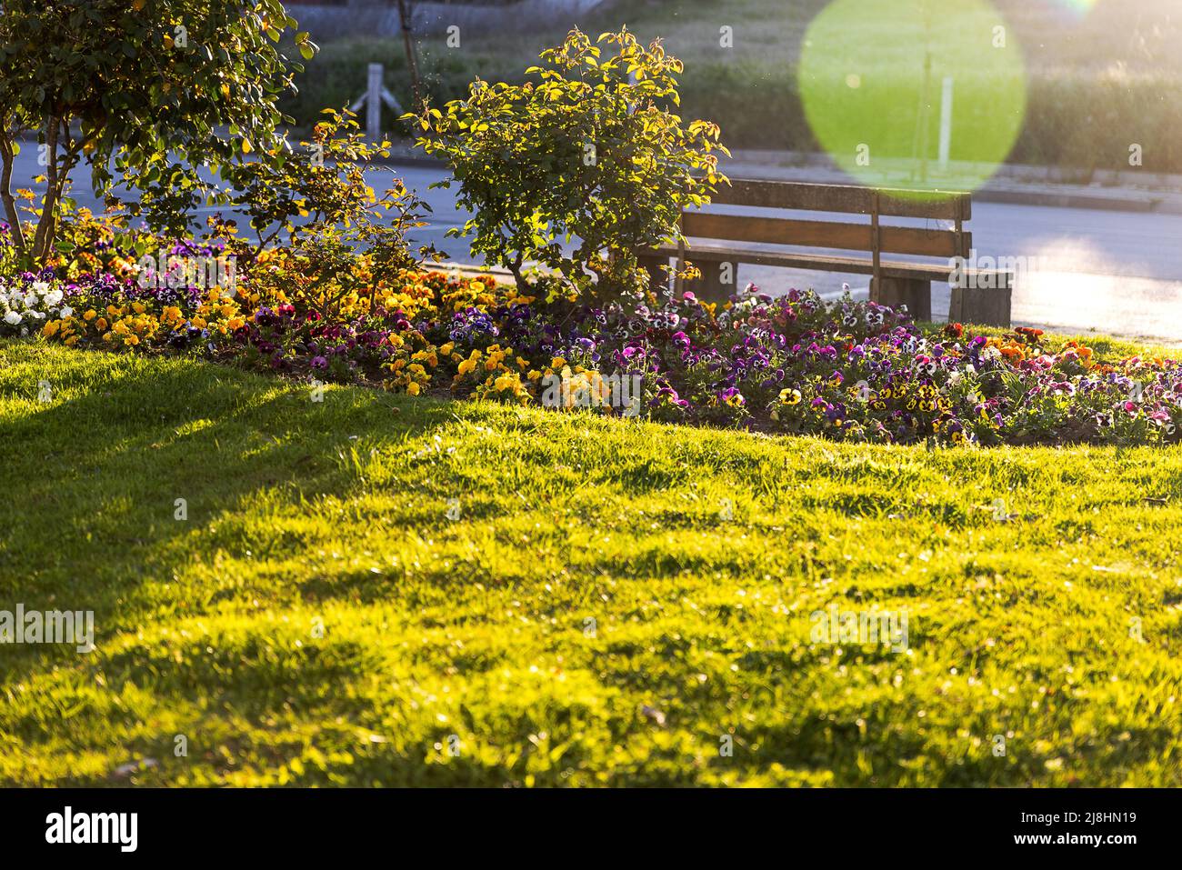 Empty botanic park summer sunny hi-res stock photography and images - Alamy