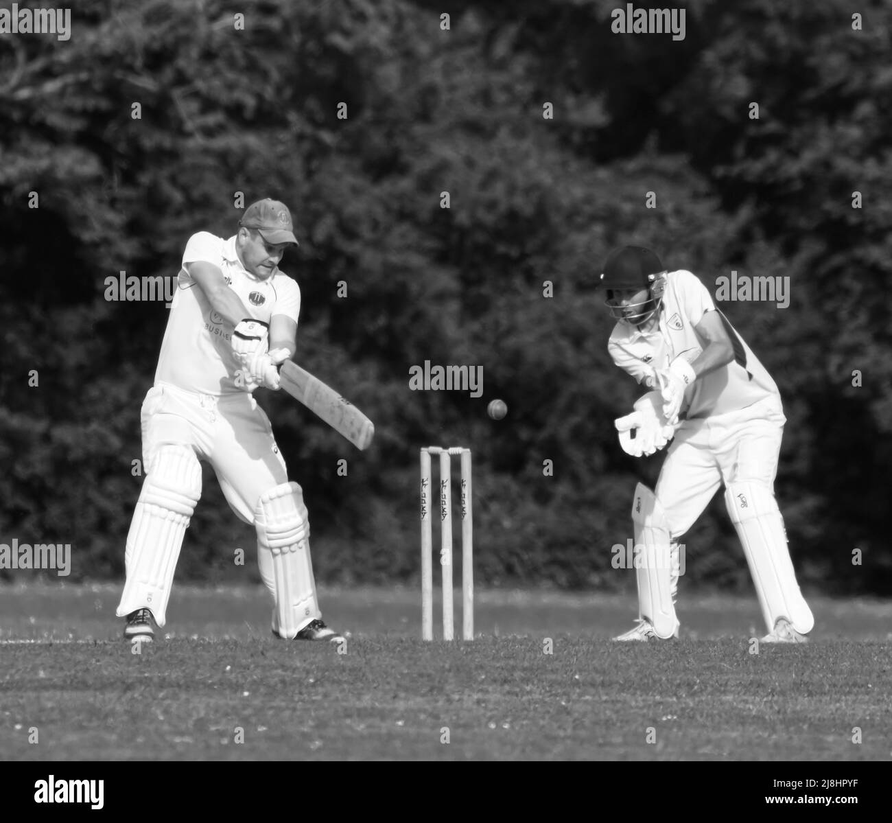 Village cricket in Hampshire, England Stock Photo