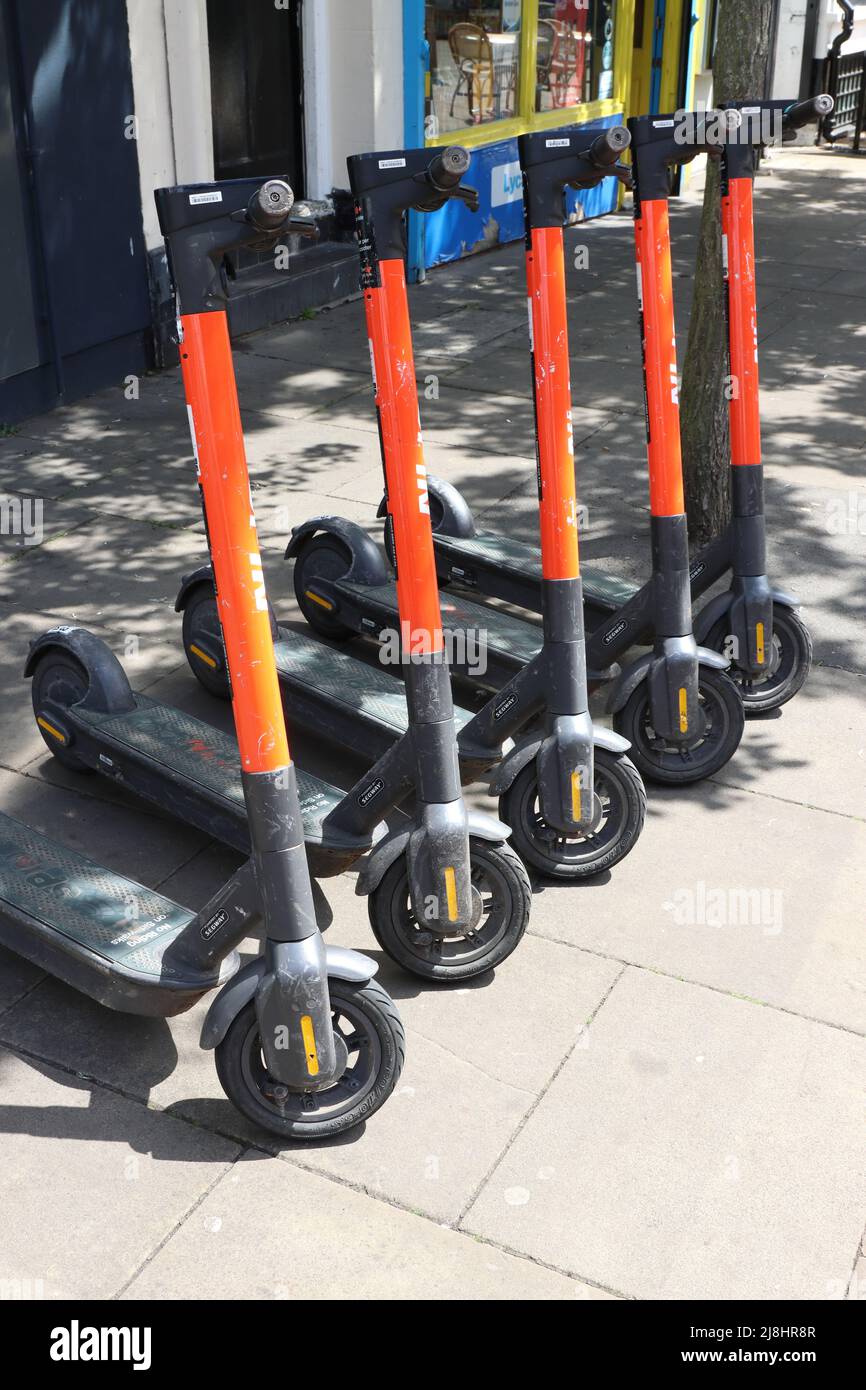 Rental EScooters parked together on pavement in City of Chelmsford