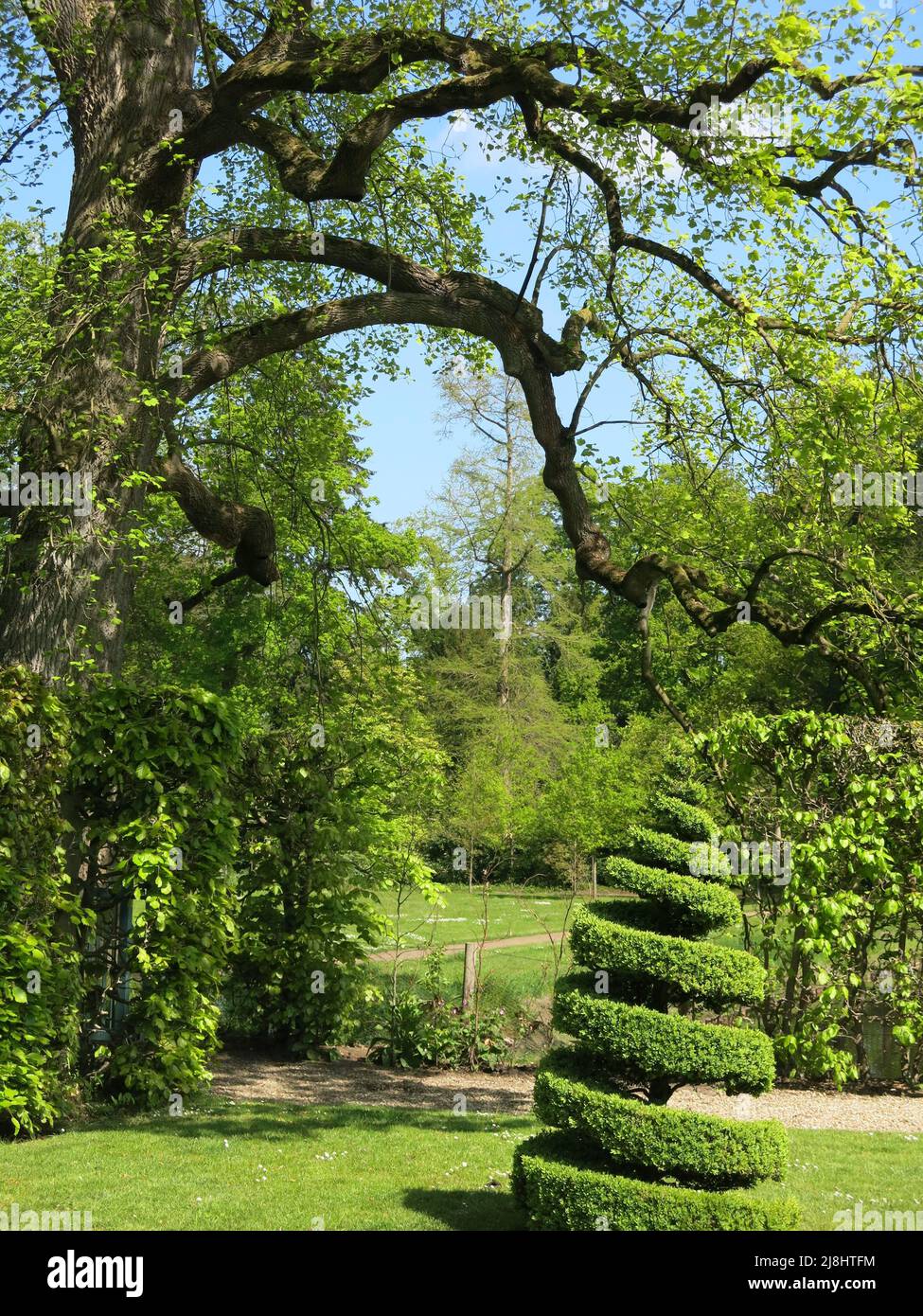 Dutch gardens to visit: topiary, trees, paths and parkland - features of the landscaped garden at De Wiersse near Vorden in the Netherlands. Stock Photo